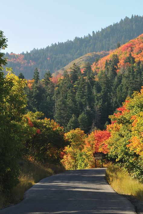 Travel Utah, Scenic Pictures, Utah Mountains, Utah Travel, Utah Usa, Utah Photography, Park City Utah, Travel Outdoors, Autumn Scenery