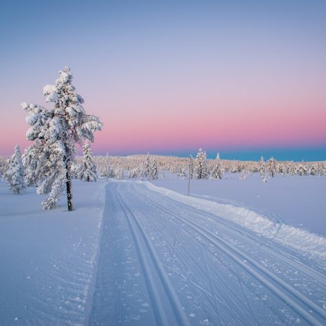 Finland Trip, Norway Landscape, Norway Winter, Winter Landscape Photography, Nordic Aesthetic, Snow Covered Trees, Europe Winter, Winter Scenery, Winter Adventure