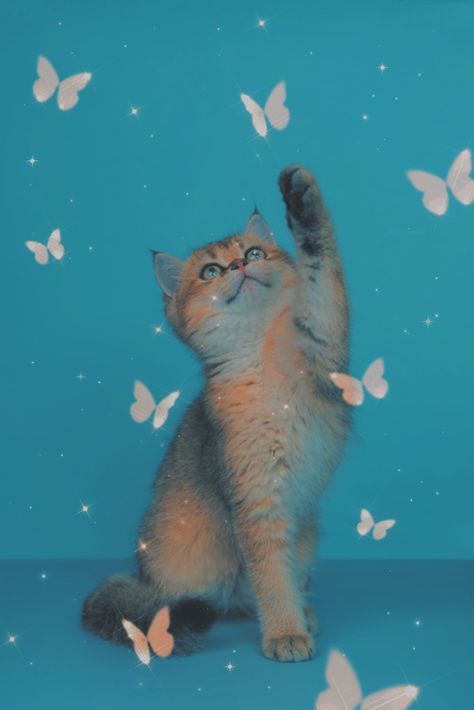 #kitty #cat #catching #butterflies #freetoedit Cat Catching Butterfly, Catching Butterflies, Butterfly Wallpaper, Cute Backgrounds, Kitty Cat, Cat Art, Photo Studio, Butterflies, Dinosaur Stuffed Animal