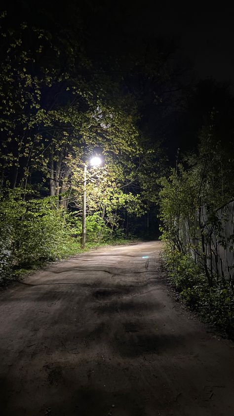 Night Road Snap, Creepy Woods, Midnight Walk, Night Road, Night Walks, Butterfly Wallpaper Backgrounds, Money Images, Sky Photography Nature, Night Scenery