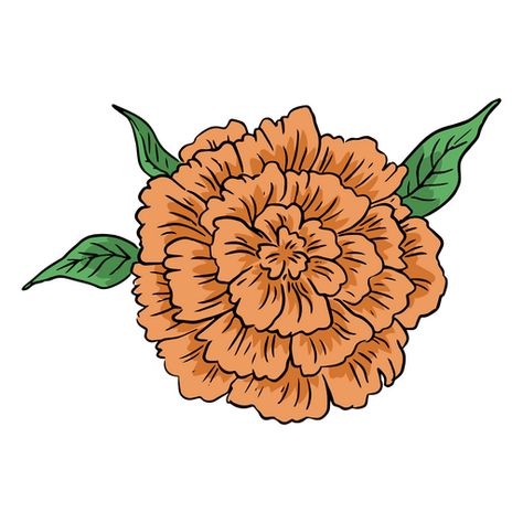 Day of the dead carnation illustration PNG Design Carnation Illustration, Plants Drawings, Advertisement Illustration, Hurdy Gurdy, Ad Illustration, Flowers Illustration, Graphic Design Flyer, Graphic Design Agency, Carnation Flower