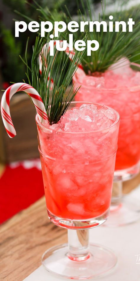 Our Peppermint Julep is a kid-friendly holiday drink. If you're looking for a Christmas peppermint drink that is non-alcoholic and everyone can enjoy, then you need to try our Peppermint Julep. Christmas Flavored Water Recipes, Peppermint Vodka Drinks Smirnoff, Peppermint Vodka Drinks, Peppermint Drink, Peppermint Water, Peppermint Vodka, Christmas Cocktails Easy, Julep Recipe, Xmas Drinks