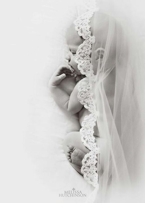 Mothers veil Photo Bb, Foto Newborn, Baby Fotografie, Baby Information, Newborn Baby Photoshoot, Baby Shoot, Baby Poses, Newborn Baby Photos, Newborn Poses