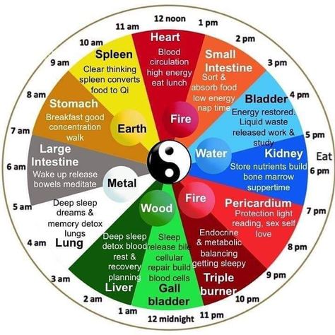 Chinese Body Clock, Iridology Chart, Acupuncture Points Chart, Tea Remedies, Turmeric Vitamins, Body Clock, Clear Thinking, Acupuncture Points, Learning Techniques