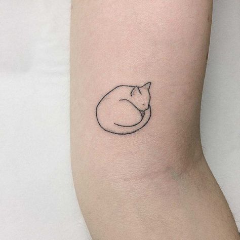 Super cute, curled-up cat by Femme Fatale Tattoo Minimalist Cat Tattoo, Kitten Tattoo, Cat Tattoo Simple, Up Tattoo, Cat Tattoo Designs, Cute Tiny Tattoos, Dainty Tattoos, Up Tattoos, Friend Tattoos