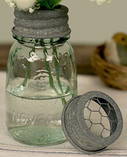 PRICES MAY VARY. 2¼” diameter and 4” tall. Includes the lid and the glass Mason jar. The lid features chicken wire on top to create a rustic and functional flower frog. Reproduction jar. Frog Chicken, Pint Mason Jars, Frog Decor, Blue Mason Jars, Mason Jar Flowers, Small Mason Jars, Kitchen Containers, Mason Jar Wedding, Mason Jar Gifts