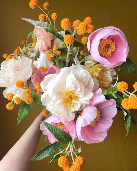 #peonies #inspo #flowers #happy Flower Aesthetics, Bouquet Colorful, Paper Flower Art, Peonies And Hydrangeas, Peony Bouquet, Flower Therapy, Seasonal Flowers, Spring Flower, Love Flowers