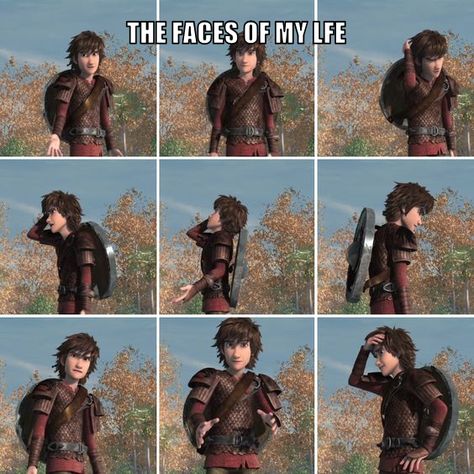 Httyd Race To The Edge, Race To The Edge, Httyd Funny, Hiccup Haddock, Dragons Riders Of Berk, Dragon Riders, Train Dragon, Dragon Memes, Hiccup And Astrid