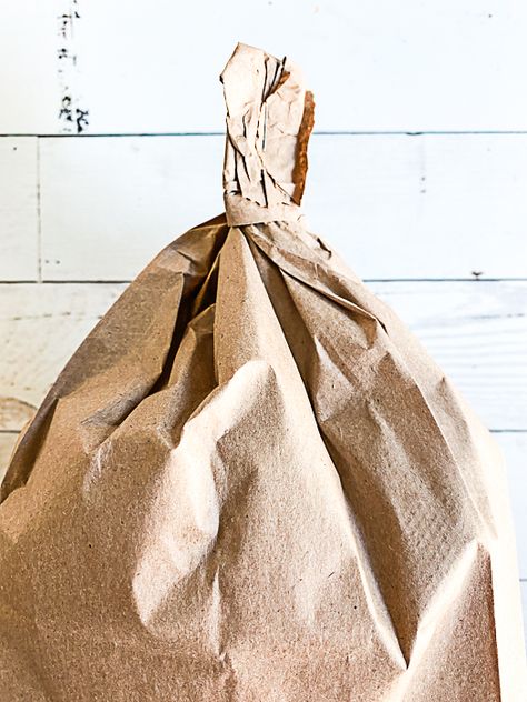 Paper Bag Turkey Craft | Woo! Jr. Kids Activities : Children's Publishing Paper Bag Turkey Craft For Kids, Paper Bag Book Report, Paper Bag Turkey Craft, Turkey Paper Bag, Paper Bag Turkey, Turkey Craft For Kids, Paper Bag Book, Paper Bag Books, Classic Paper