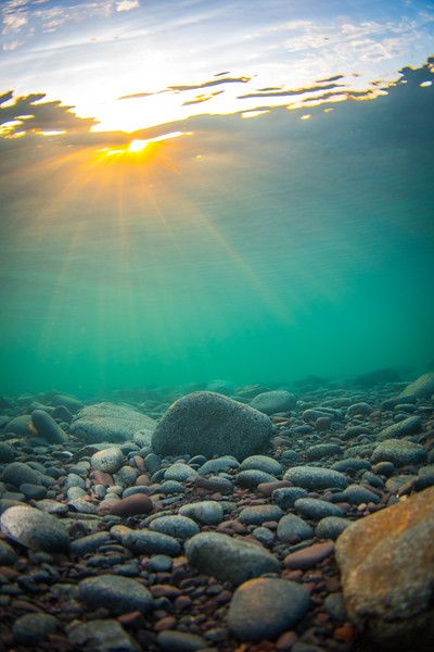 See more Underwater Lake, Ocean Waves Photography, Pretty Water, Underwater Painting, Life Under The Sea, Waves Photography, Under The Ocean, Water Aesthetic, Ocean Floor