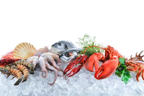 Fresh seafood on crushed ice. Fresh fish and seafood arrangement on crushed ice , #Sponsored, #crushed, #seafood, #Fresh, #arrangement, #fish #ad Luxury Seafood, Ice Background, Seafood Lobster, Private Beach House, Seafood Plates, Market Photo, Mackerel Fish, Seafood Stock, Roast Fish