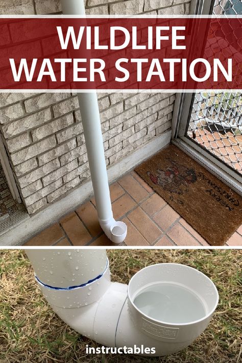 This water station made from a thick PVC pipe is great for watering domestic pets or wildlife. #Instructables #outdoors #backyard #bushfire #feeder #animals #trough Pvc Chicken Feeder Water, Pvc Waterer For Chickens, Diy Pvc Chicken Waterer, Chicken Water Feeder Ideas, Pvc Rabbit Feeder, Chicken Pvc Waterer, Pvc Pipe Chicken Waterer, Easy Chicken Waterer Diy, Wildlife Water Station