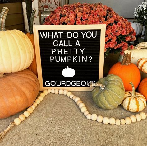 Fall Letterboard, Letterboard Signs, Message Board Quotes, Halloween Jokes, Felt Letter Board, Halloween Letters, Pretty Pumpkins, Word Board, Autumn Quotes