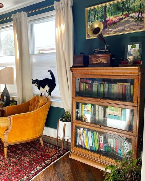 I think it’s safe to say that it’s a better view now 👀 [Image Description 1: the sunlight bounces through a dark green home library. An… | Instagram Barrister Bookcase Decor, Barrister Bookcase Living Room, Painted Barrister Bookcase, Vintage Eclectic Office, Cat Bookcase, Green Home Library, Eclectic Library, Vintage Bookshelves, Mid Century Library