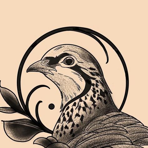 Pheasant Tattoo Ideas, Traditional Pheasant Tattoo, Pheasant Tattoo, Pheasant Drawing, Pheasant Line Art, Pheasant Embroidery, Different Birds, Partridge, Pheasant