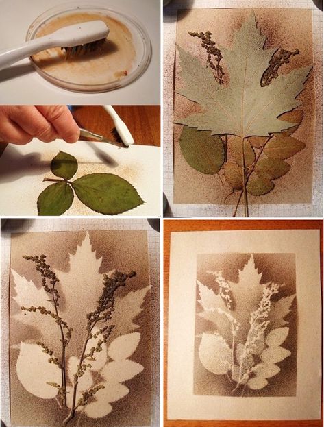 Un tableau d'empreintes de feuilles Pictures Of Leaves, Oppgaver For Barn, Leaf Print Art, Analytical Skills, Leaf Crafts, Tile Shower Ideas, Watercolor Paints, Eco Printing, Tile Shower