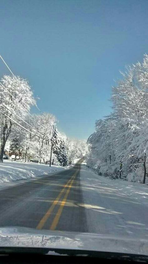 Poconos Pennsylvania Winter, Pennsylvania Trees, Poconos Pennsylvania, Pennsylvania Aesthetic, Pennsylvania Mountains, New Hope Pa, Pennsylvania History, Cute Little Houses, Midwest Emo