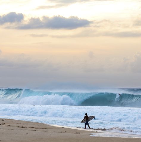 Hawaii Waves, North Shore Hawaii, World Surf League, Hawaii Surf, Surf Life, Surfing Waves, Profile On Instagram, Big Waves, Oahu Hawaii