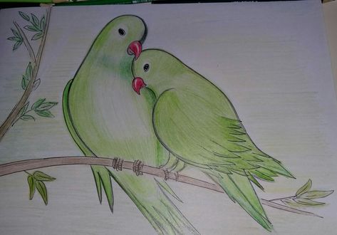 Love Birds Love Birds Drawing, Animal Sketches Easy, Birds Drawing, Oil Pastel Drawings Easy, Easy Animal Drawings, Bunny Images, Beautiful Butterflies Art, Easy Love Drawings, Girl Drawing Sketches