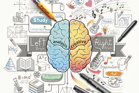 They each serve different functions. Human Brain Diagram, Brain Infographic, Brain Diagram, Left Brain Right Brain, Mind Map Art, Brain Poster, Brain Drawing, Brain Illustration, Mind Map Design