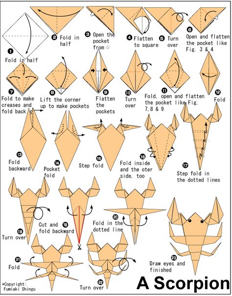 Wow Complex Origami Instructions - http://www.ikuzoorigami.com/wow-complex-origami-instructions/ Origami Scorpion, Origami Návody, Dragon Origami, Origami Shapes, Creative Origami, Origami Diagrams, Tutorial Origami, Origami For Beginners, Origami Dragon