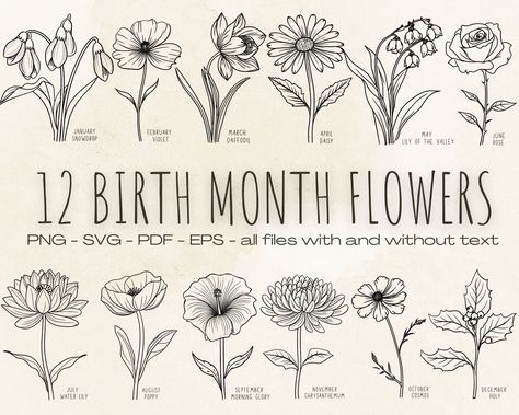 Monthly Flowers, Birthmonth Flower, Birthday Month Flowers, Daisy Svg, Rose Svg, Flowers Birthday, Birthday Flower, Cards Scrapbooking, Month Flowers