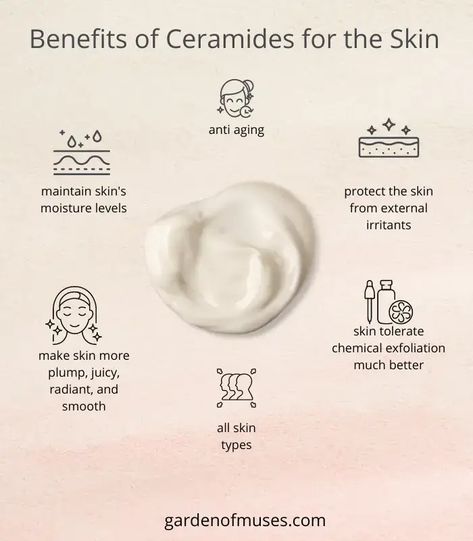 Benefits of Ceramides for the Skin Ceramides Benefits, Skin Care Pictures, Stopping Breastfeeding, Chemical Exfoliation, Holika Holika, Laser Therapy, Skin Disorders, Linoleic Acid, Anti Aging Ingredients