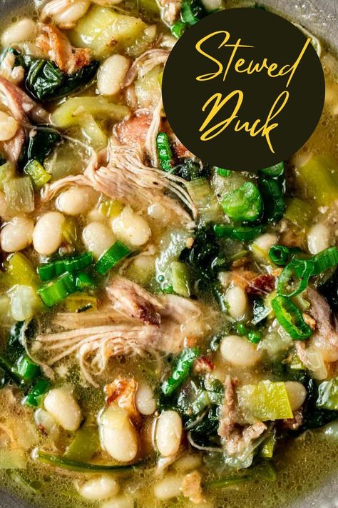 Duck Stew Recipes, Duck Stew, Duck Broth, Duck Noodle Soup, Duck Recipe, Duck Soup, Duck Confit, French Recipes, Duck Recipes