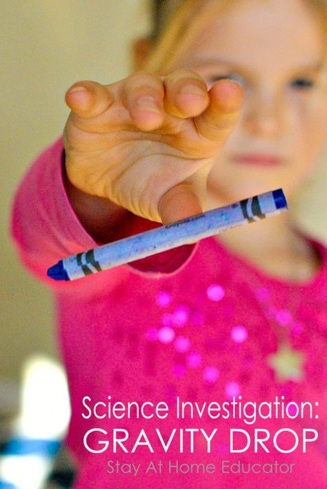 Gravity Drop – a Preschool Science Investigation: This no-prep activity about gravity is perfect for teaching kids about how and why things fall when they're dropped. Gravity Activities For Kids, Gravity Experiments For Kids, Gravity Activities, Gravity Lessons, Gravity Experiments, Gravity Science, Space Week, Pre-k Science, Space Preschool