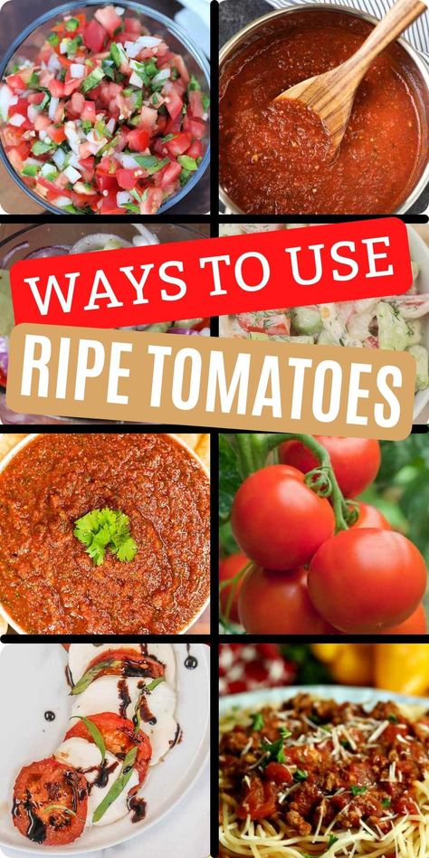 What Can I Make With Roma Tomatoes, How To Use Roma Tomatoes, Easy Meals With Tomatoes, What To Do With Mushy Tomatoes, Things To Do With Roma Tomatoes, How To Use Up Fresh Tomatoes, How To Use Up Roma Tomatoes, Ways To Use Up Tomatoes, Use Tomatoes Up