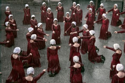 In the not-to-distant future... The Handmaid's Tale Aesthetic, Feminist Images, Handmaids Tale Aesthetic, Handmades Tale, Best Dystopian Books, A Handmaids Tale, Handmaids Tale, The Handmaid's Tale, Dystopian Fiction