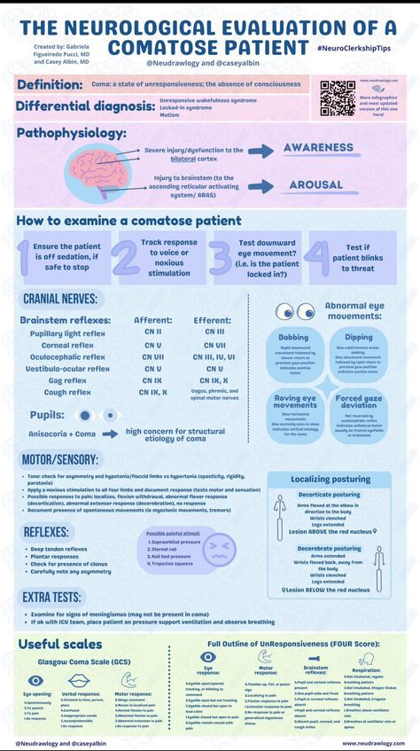 Adn Nursing, Neurological Assessment, Nursing Fundamentals, Medical Terminology Study, Nurse Skills, Med Notes, Anatomy Biology, Medical Study, Nursing School Essential