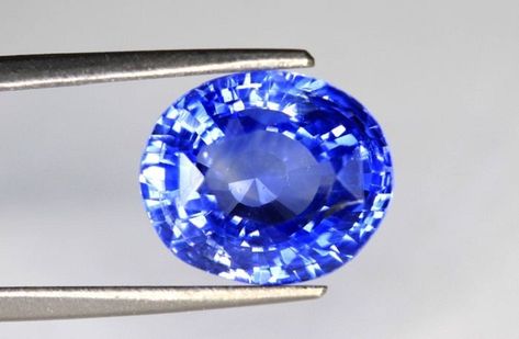 The sapphire's those who have cornflower blue color is called as corn flower blue sapphire. It has intense cornflower blue color Corn Flower Blue Sapphire, Corn Flower Blue, Cornflower Blue Sapphire, Corn Flower, Kashmir Sapphire, Zodiac Signs Aquarius, Flower Blue, Capricorn And Aquarius, Rare Flowers