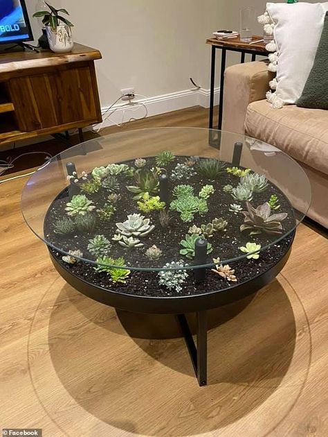 Plant Table Ideas, Coffee Table Hacks, Terrarium Table, Ikea Coffee Table, Coffee Table Plants, Garden Coffee Table, Rustic Wooden Table, Planter Table, Home Decor Hacks