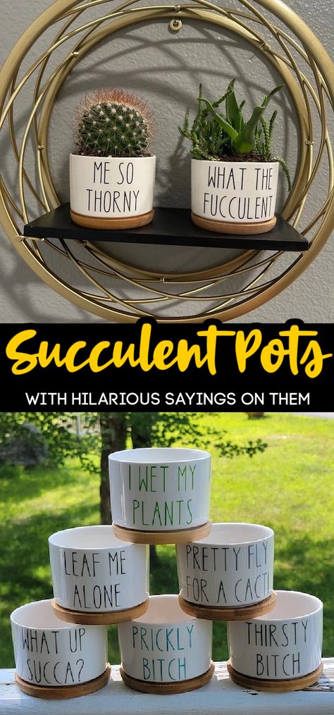 And I Have To Have Them All! Plant Pot Quotes, Quotes To Write On Plant Pots, Funny Planter Sayings, Funny Succulent Pots, Planter Sayings Plant Pots, Succulent Pot Quotes, Funny Plant Sayings Pots & Planters, Plant Bud, Killing Me Smalls