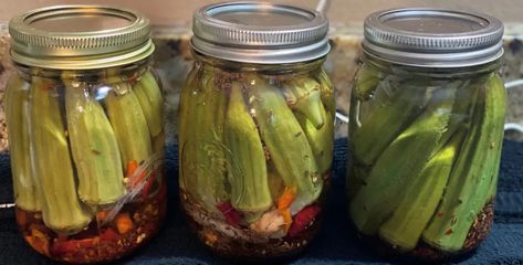 The Best Pickled Okra • Our Little Bit of Earth Pickled Okra Recipe Canning, Canning Pickled Okra, Dehydrated Okra, Pickled Okra Recipe, Pickled Okra Recipes, Strawberry Fig Preserves, Okra Recipe, Homemade Apple Pie Filling, Pickled Okra