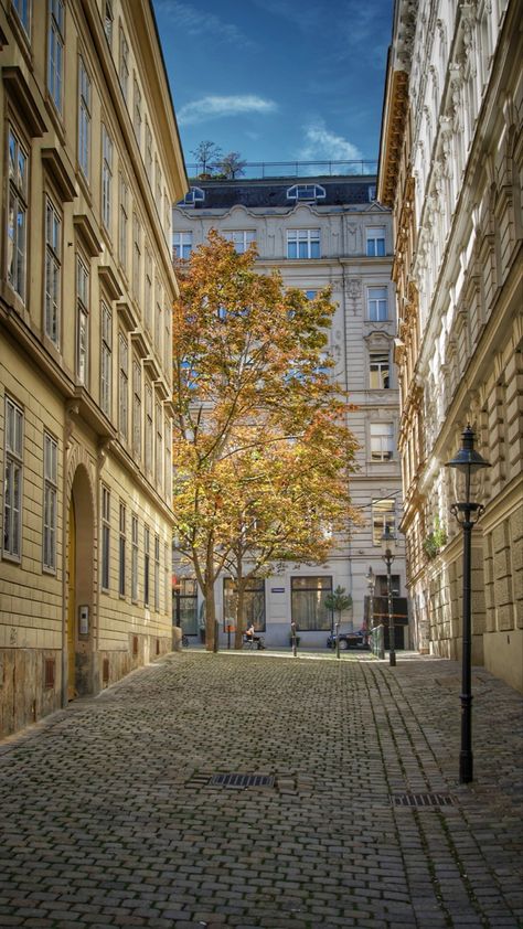 Street, 1th district of Vienna. #streets #vienna #austria #travel #city #gallery #romantic #aesthetic #autumn #streetphotography #cityscape #urban #citylife #placestotravel #placetovisit #wallpapercelular #wallpaper Vienna Autumn, Vienna Streets, Vienna Austria Travel, Vienna City, Pretty Views, Romantic Aesthetic, City Gallery, Travel City, Aesthetic Autumn