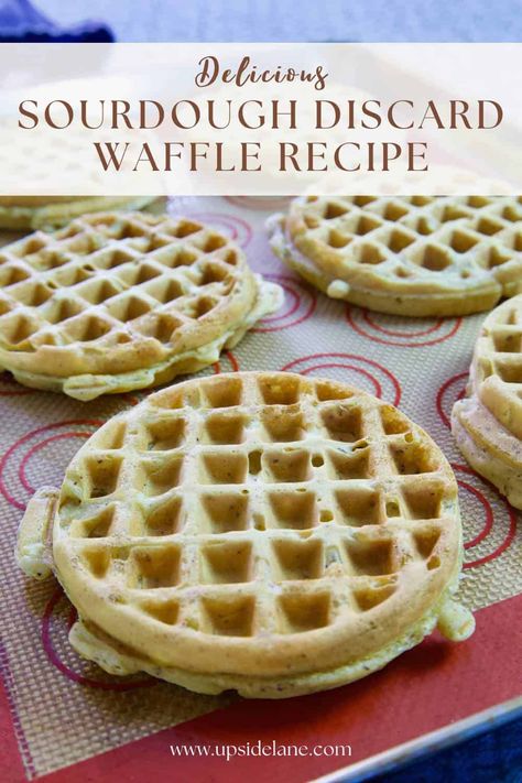 The Easiest Vegan Sourdough Discard Waffle Recipe Vegan Sourdough Waffles, Sourdough Discard Waffle Recipes, Vegan Sourdough Discard Recipes, Discard Waffle Recipe, Waffle Recipe Crispy, Edges Fluffy, Discard Waffles, Discard Recipe, Vegan Waffles