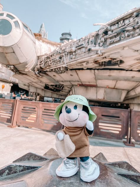 Disney Plushies Aesthetic, Disney Nuimos Outfit, Nuimos Disney, Disneyworld Aesthetic, Hollywood Studios Star Wars, Disney Nuimos, Disney Pics, Star Wars Galaxy, Disney Kingdom