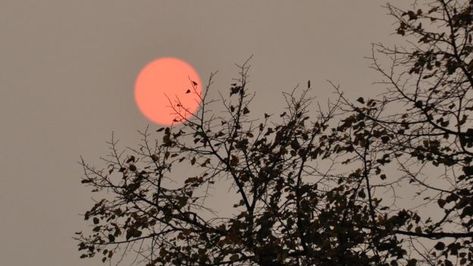 Sol rojo en Bristol Red Sun, Grey Skies, Forest Fire, Bbc News, Natural World, Bristol, Bbc, Forest, The Incredibles