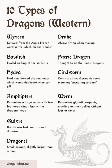 Summary of ten different types of Western dragons. Learn more about the different types of drakes from Tolkien lore and more. All Types Of Dragons, Types Of Dragons Mythical Creatures, Types Of Fantasy Species, Types Of Dragons Chart, Different Dragon Types, Western Dragon Art, Dnd Dragons Types, Types Of Monsters List, Fourth Wing Dragon Types