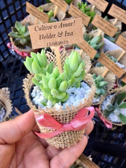 Succulent Wedding Decor, Babby Shower, Floral Art Arrangements, Baby Shower Souvenirs, Teacher Appreciation Gifts Diy, نباتات منزلية, Event Favors, Church Flowers, Creation Crafts