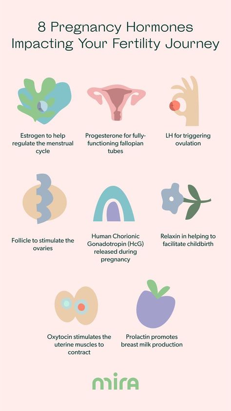 Pregnancy Hormones Impacting Your Fertility Journey Ovulation Cycle, Fertility Tracker, Getting Pregnant Tips, Fertility Awareness, Fertility Health, Ivf Success, Pregnancy Hormones, Fertility Diet, Pregnancy Guide