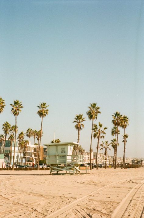 California Travel Poster, South California Aesthetic, California Dreaming Aesthetic, Malibu Rising, The Beach People, Lucy Williams, Usa Roadtrip, Beach People, California Vibe