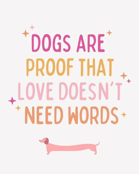 Love Of Dogs Quotes, I Love My Dog Wallpaper, Life Is Better With A Dog, Therapy Dog Quotes, Pet Quotes Inspirational, Quotes About Dogs Being Best Friends, Animal Lover Wallpaper, Quotes About Dogs Love, Christmas Dog Quotes