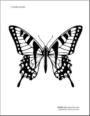 Tiger Butterfly Tattoo, Tattoo Pretty, Tiger Butterfly, Tiger Swallowtail Butterfly, Butterfly Tattoo Stencil, Tiger Swallowtail, Butterfly Stencil, Animal Illustration Art, Swallowtail Butterfly