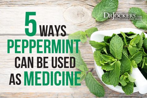 5 Ways Peppermint Can Be Used As Medicine Peppermint Extract Uses, Medical History, 5 Ways, Being Used, Medicine, Peppermint, Herbs, Health, Canning