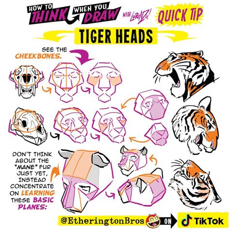 Head Different Angles, Tiger Head Drawing, Tiger Drawing Tutorial, Tiger Drawing, Illustration Art Drawing, Tiger Head, Art Drawing, Drawing Tutorial, Animal Drawings