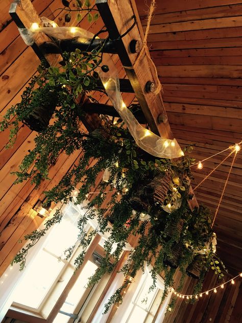 Hanging Ladder by Garland & Lace at Abbey Farms! Hanging Lattice From Ceiling, Hanging Ladder From Ceiling Christmas, Hanging Ladder From Ceiling With Plants, Hanging Ladder With Plants, Ladder Hanging Plants, Ladder Lights Hanging, Hanging Ladder From Ceiling, Ladder With Plants, Ladder Ceiling