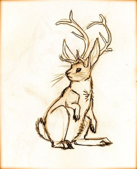 Jackalope Drawing, Menma Uzumaki, Images Kawaii, Cute Fantasy Creatures, Creature Drawings, Rabbit Art, Bunny Art, Fantasy Creatures Art, Arte Sketchbook